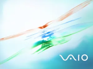 VAIO 第一辑