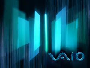 VAIO 第一辑_4