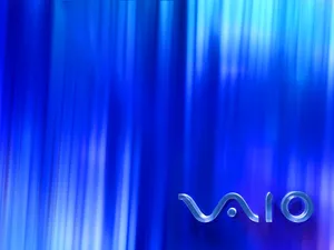 VAIO 第一辑_5