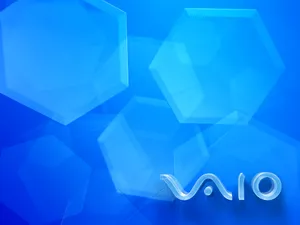 VAIO 第一辑_6