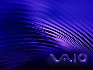 VAIO 第一辑_7