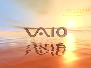 VAIO 第一辑_8