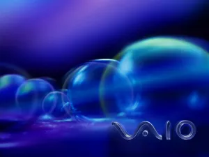 VAIO 第一辑_9