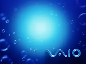 VAIO 第一辑_10