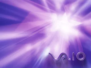 VAIO 第一辑_11