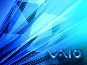 VAIO 第一辑_12
