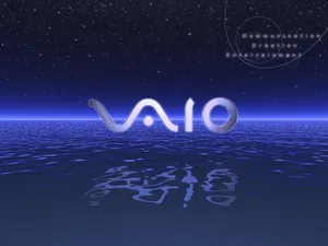 VAIO 第一辑_13