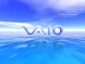 VAIO 第一辑_14