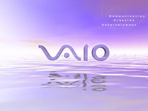 VAIO 第一辑_15