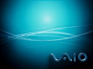 VAIO 第一辑_16