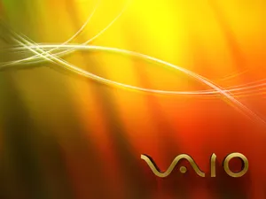 VAIO 第一辑_19