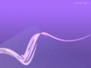 SONY 第一辑_10