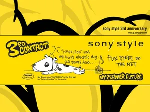 SONY 第一辑_11