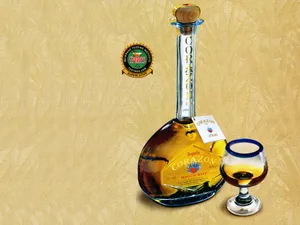 drink酒 第一辑_15