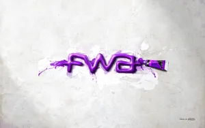 宽屏FWA 第九辑_18