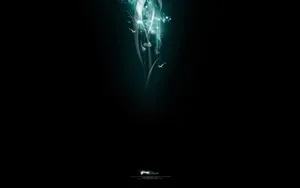 FWA黑色专辑 第一辑_13