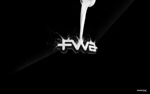 宽屏FWA 第八辑_15