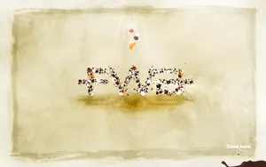 宽屏FWA 第六辑_8