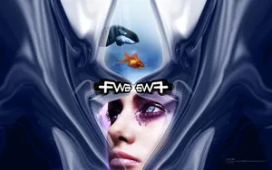 宽屏FWA 第六辑_11