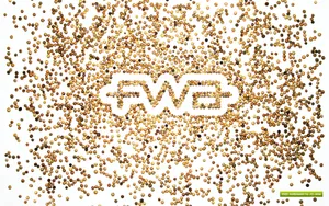 宽屏FWA 第六辑_13
