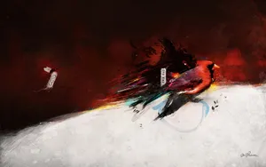 宽屏FWA 第五辑_6