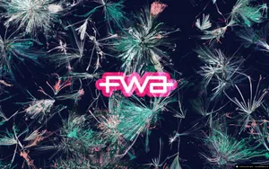 宽屏FWA 第五辑_9