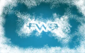 宽屏FWA 第五辑_15