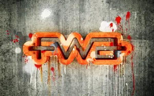 宽屏FWA 第四辑_8