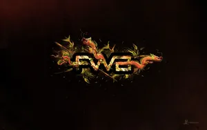 宽屏FWA 第三辑_2