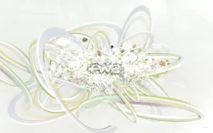 宽屏FWA 第三辑_5