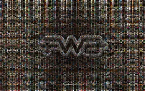 宽屏FWA 第三辑_18