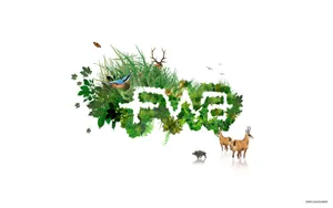 宽屏FWA 第二辑_10