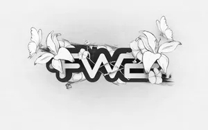 宽屏FWA 第二辑_13