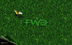 宽屏FWA 第二辑_17
