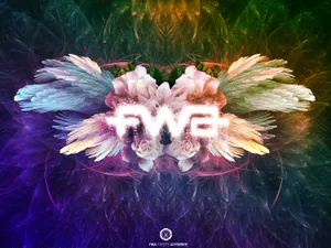 FWA 第二辑_10