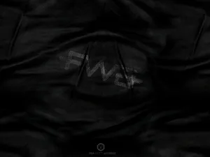 FWA 第二辑_15