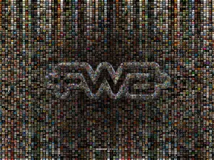FWA 第一辑_14