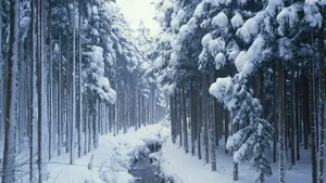 高清护眼风景桌面壁纸_8