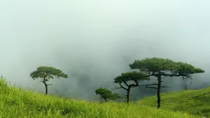 江西武功山风景壁纸_10