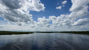 额尔古纳河风景图片_8