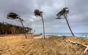 德国海滩沙滩风景壁纸_8