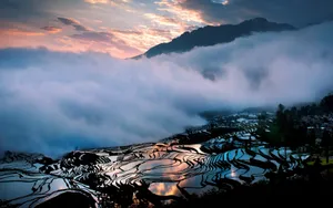 清晨朦胧风景壁纸_2