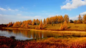 河北承德木兰围场风景壁纸_5