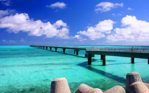 毛里求斯旅游风景壁纸_10