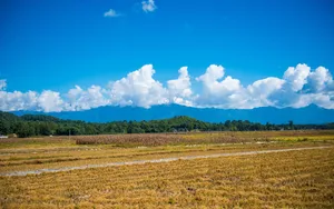 云南云峰山自然风景壁纸_6
