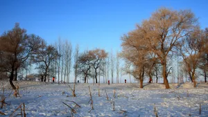 吉林雾凇岛风景壁纸_5