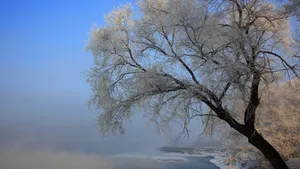 吉林雾凇岛风景壁纸_7