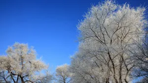 吉林雾凇岛风景壁纸_9