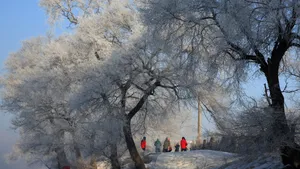 吉林雾凇岛风景壁纸_10