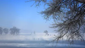 吉林雾凇岛风景壁纸_12